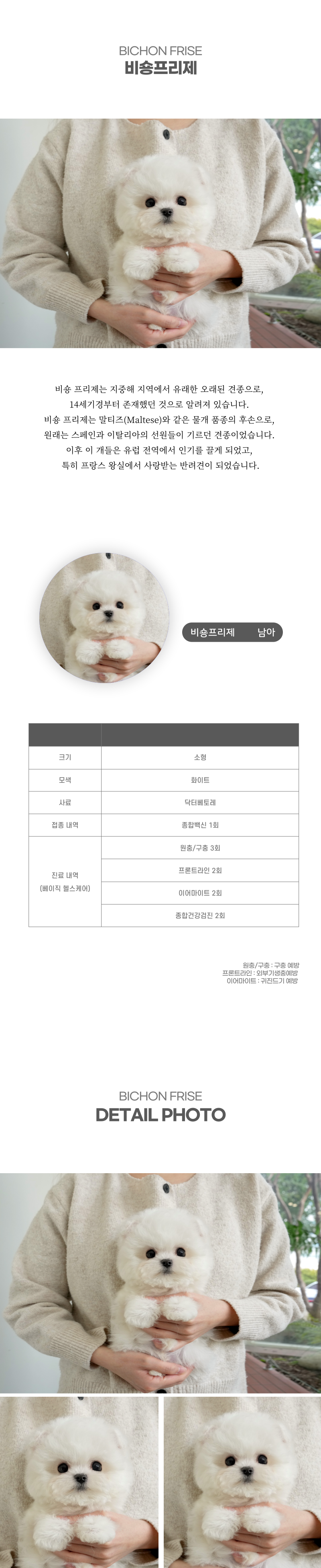 미니비숑_상세이미지_2
